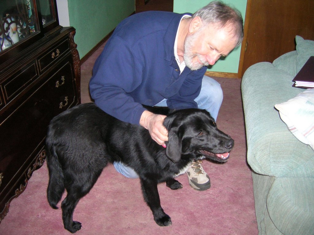 Bearded white man petting shiny black Lab dog between green sofa and antique china cabinet. The man is the author's late husband Fred.
