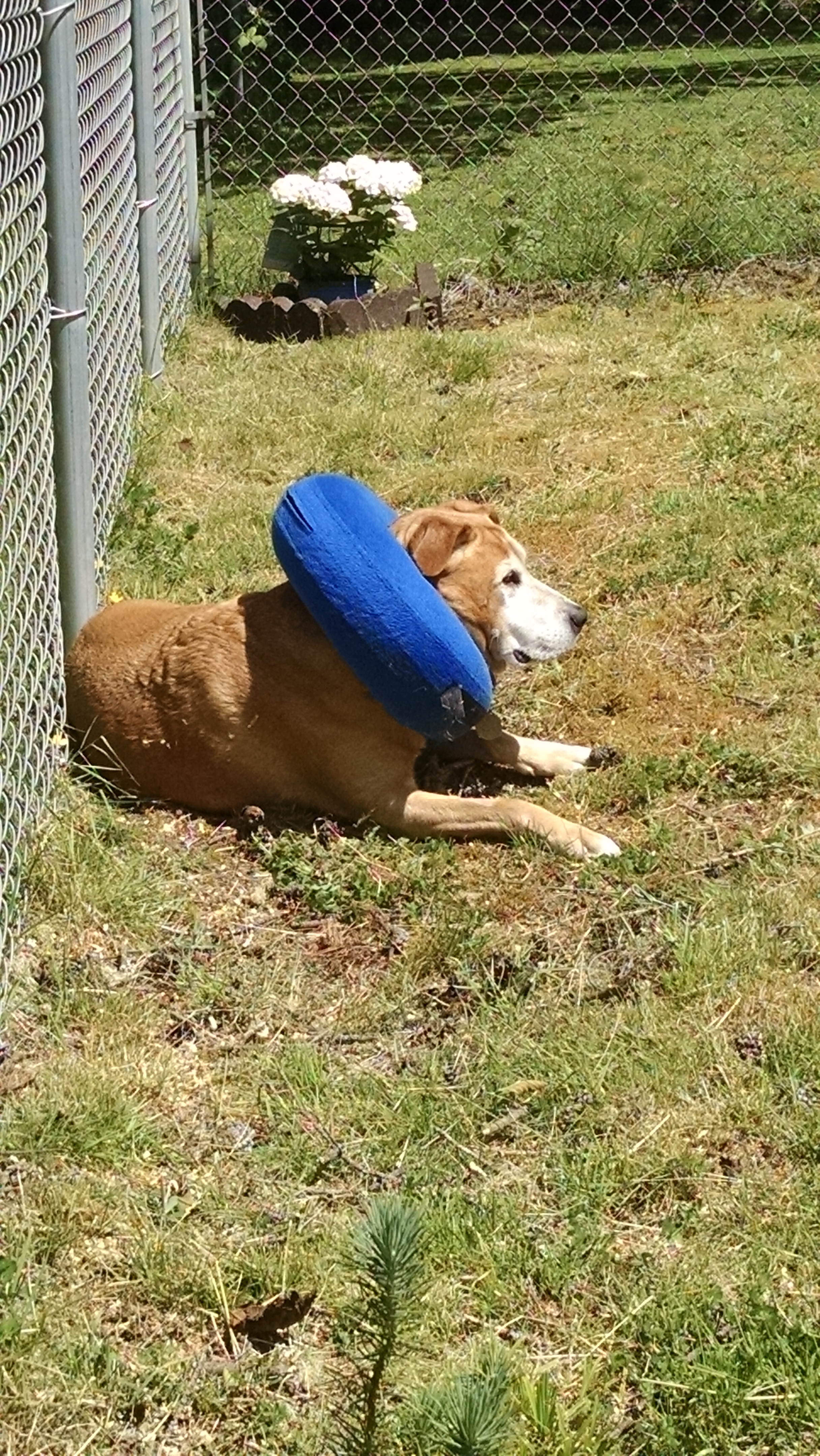 IMG_20170605_120334609[1]