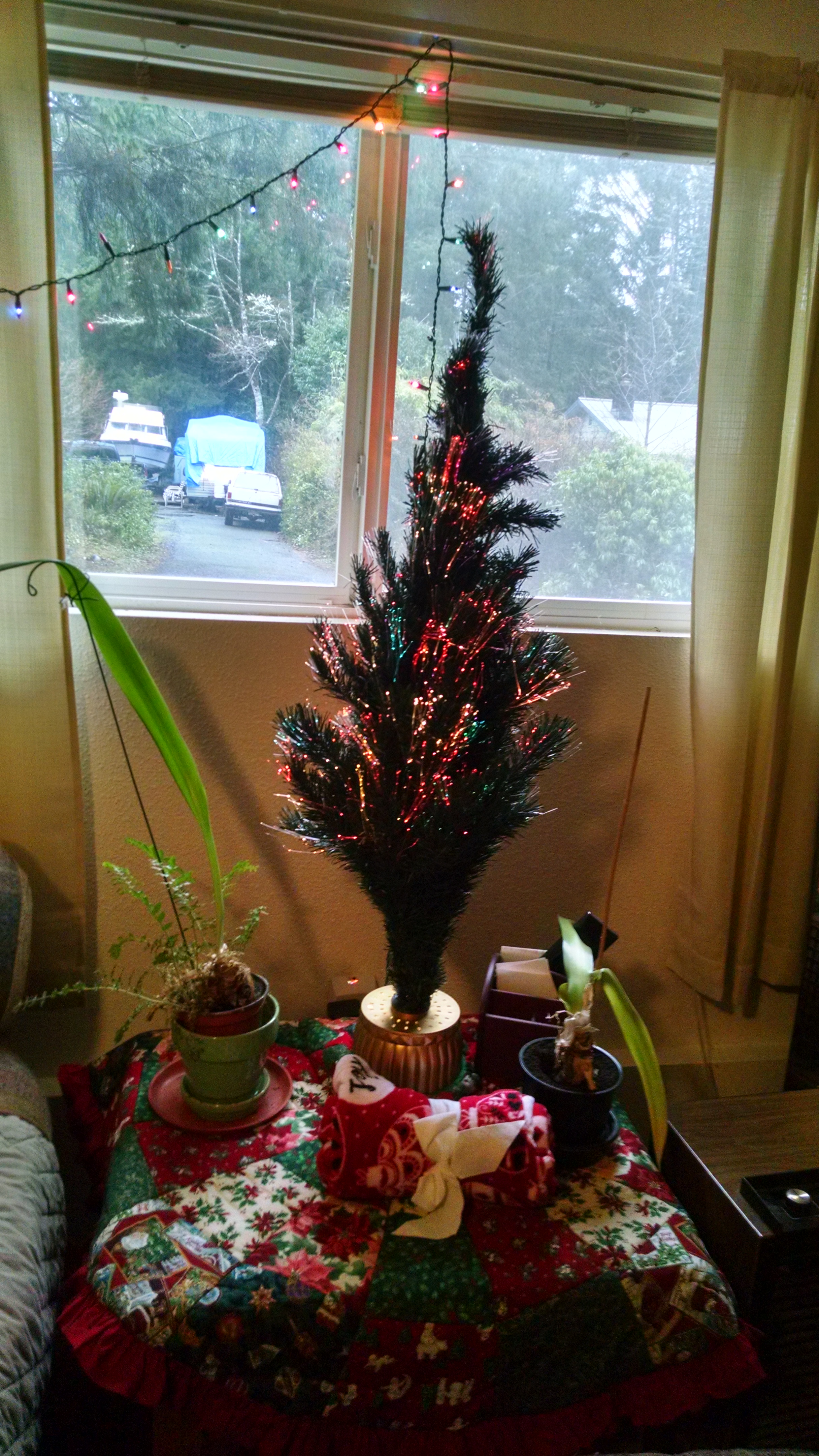 IMG_20181226_094611724_HDR[1]