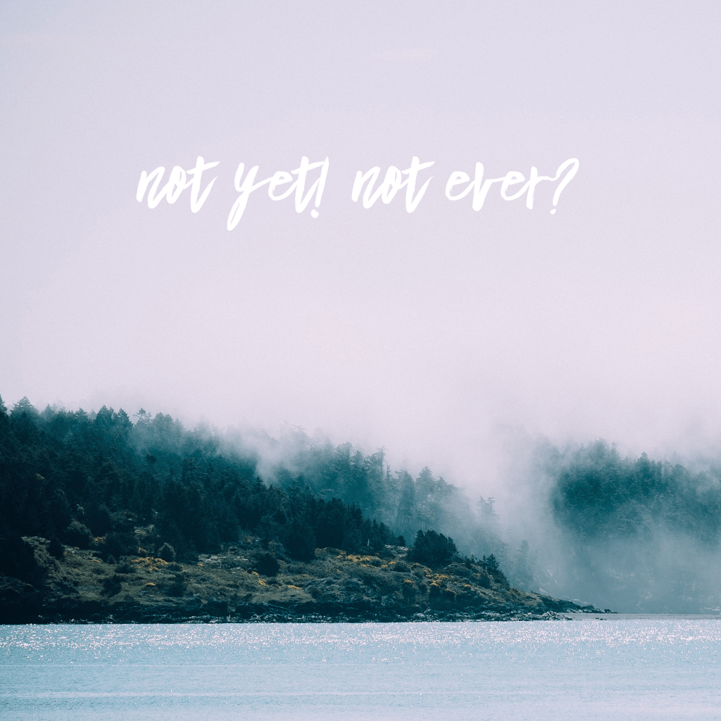 The photo offers the words "Not yet! Not ever? in a foggy sky over a green cliff with yellow flowers, wave spray and calm pale blue water. 